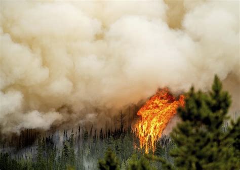 100,000 square kilometres burned in record-breaking Canadian wildfire season